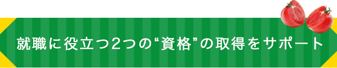 就職に役立つ2つの“資格”の取得をサポート